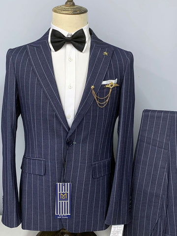 Men's Striped Two Piece Business Suit SMLB0831